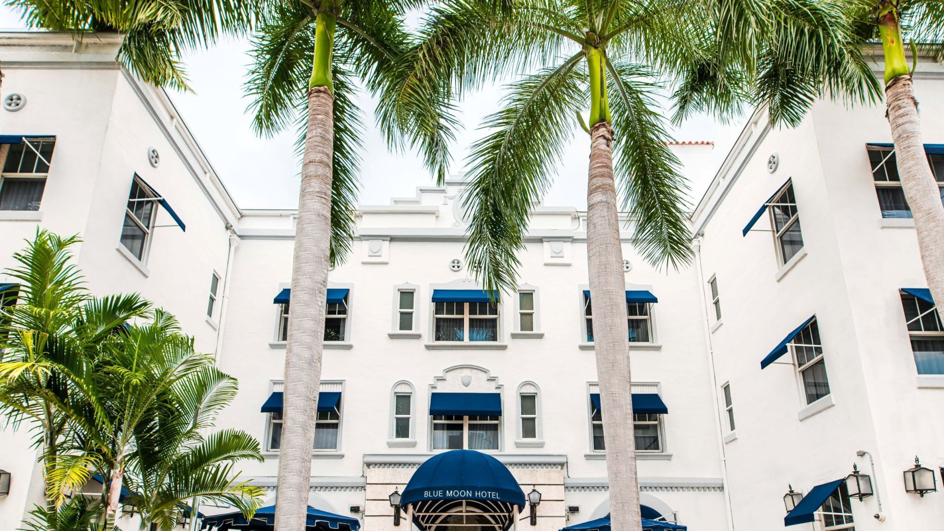 A Group Of Palm Trees In Front Of A White Building